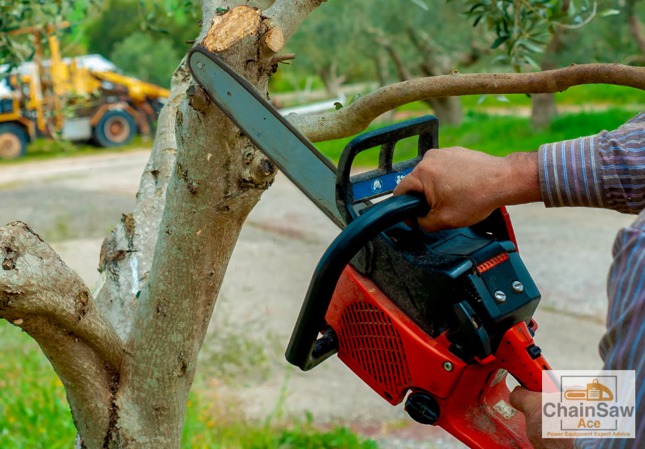 Chain Performance - chainsaw cutting branch