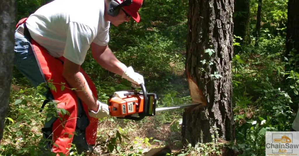 Man cutting tree with a Stihl gasoline chainsaw.