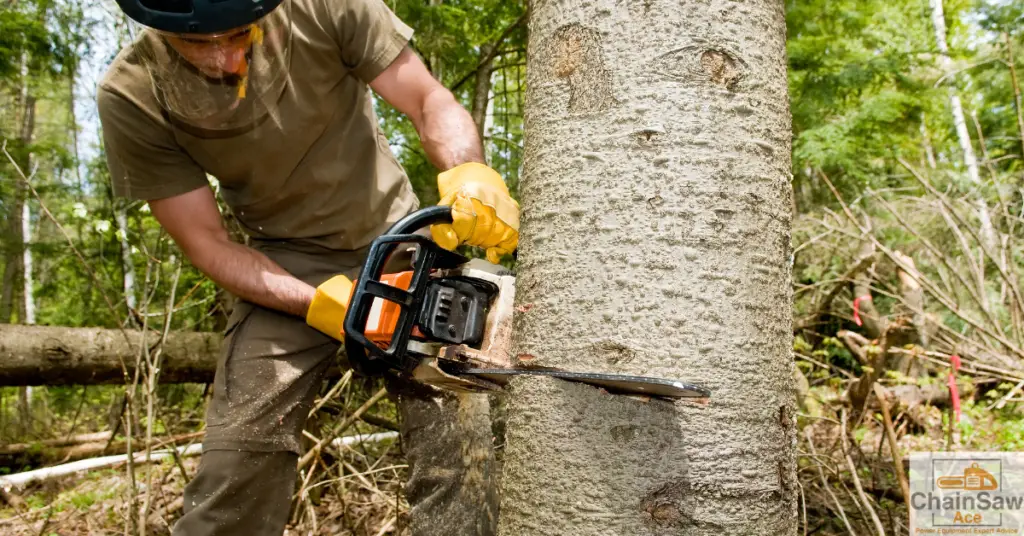 Chainsaw Catastrophes: Common Accidents and How to Avoid Them - Man Cutting Tree With Chainsaw